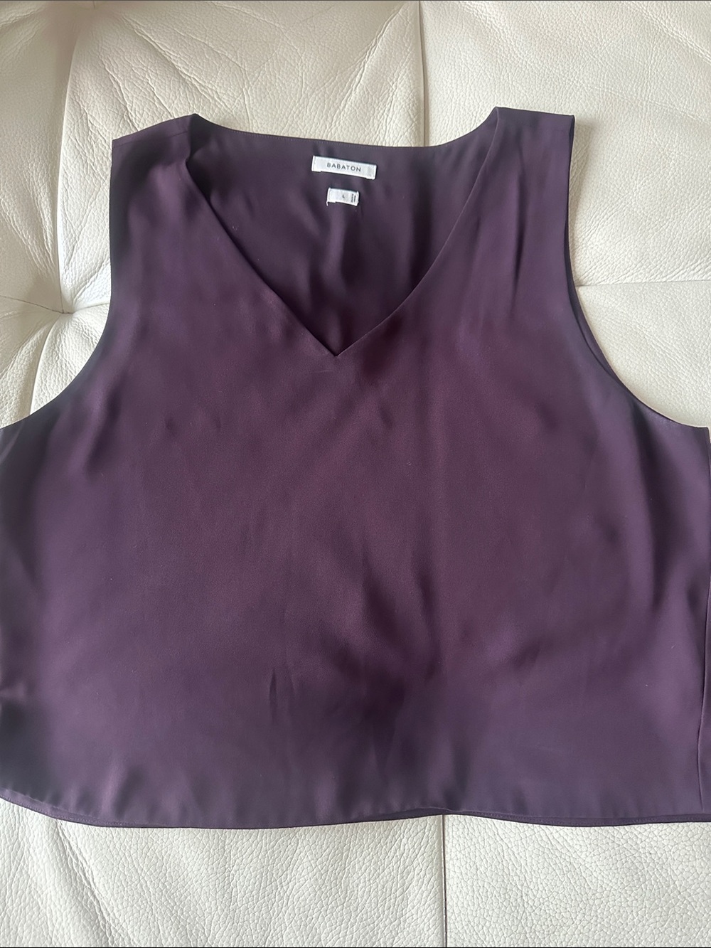 Aritzia Plum V-Neck Sleeveless Camisole